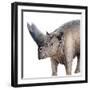 Arsinoitherium-null-Framed Photographic Print