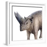 Arsinoitherium-null-Framed Photographic Print