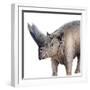 Arsinoitherium-null-Framed Photographic Print