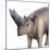 Arsinoitherium-null-Mounted Photographic Print