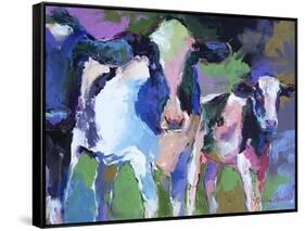 Art 3 Cows-Richard Wallich-Framed Stretched Canvas