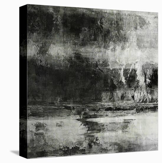 Art Abstract Acrylic Background in Black, Grey and White Colors-Irina QQQ-Stretched Canvas