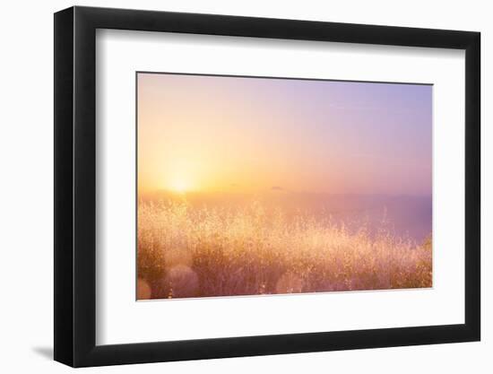 Art Abstract Natural Background; Summer Sunny Meadow-Konstanttin-Framed Photographic Print