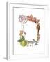 Art Alphabet - D-Joelle Wehkamp-Framed Giclee Print