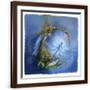 Brown Frame