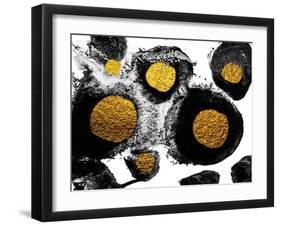 Art and Gold. Natural Luxury. Black Paint Stroke Texture on White Paper. Abstract Hand Painted Gold-CARACOLLA-Framed Art Print