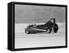 Art Arfons' 'Green Monster' Land Speed Record Car, Bonneville Salt Flats, Utah, USA, C1964-C1966-null-Framed Stretched Canvas