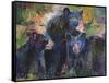 Art Bear Family-Richard Wallich-Framed Stretched Canvas