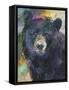 Art Bear-Richard Wallich-Framed Stretched Canvas