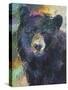 Art Bear-Richard Wallich-Stretched Canvas