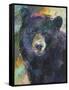 Art Bear-Richard Wallich-Framed Stretched Canvas