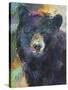 Art Bear-Richard Wallich-Stretched Canvas