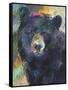 Art Bear-Richard Wallich-Framed Stretched Canvas