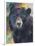 Art Bear-Richard Wallich-Framed Giclee Print