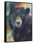 Art Bear-Richard Wallich-Framed Stretched Canvas