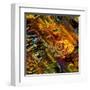 Art Colorful Abstract Seamless Pattern-Irina QQQ-Framed Art Print