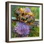 Art d'Choke-Terri Hill-Framed Giclee Print