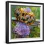 Art d'Choke-Terri Hill-Framed Giclee Print