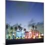 Art Deco Architecture and Palms, South Beach, Miami, Florida-Robin Hill-Mounted Photographic Print