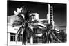 Art Deco Architecture of Miami Beach - The Esplendor Hotel Breakwater South Beach - Ocean Drive-Philippe Hugonnard-Stretched Canvas