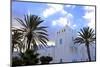 Art Deco Architecture, Sidi Ifni, Morocco, North Africa, Africa-Neil-Mounted Photographic Print