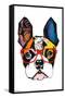 Art Deco - Boston Terrier with Glasses-Trends International-Framed Stretched Canvas