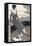 Art Deco Lady with Dog-Megan Meagher-Framed Stretched Canvas