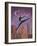 Art Deco Leap-Judy Mastrangelo-Framed Giclee Print