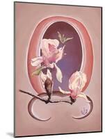 Art Deco Magnolias-Judy Mastrangelo-Mounted Giclee Print