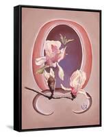 Art Deco Magnolias-Judy Mastrangelo-Framed Stretched Canvas