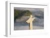 Art Deco Statue of Jesus,On Corcovado Mountain, Rio de Janeiro, Brazil-Peter Adams-Framed Photographic Print