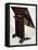 Art Deco Style Cla-Cla Table, Ca 1925-Jacques-emile Ruhlmann-Framed Stretched Canvas