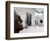 Art Exhibition at Staatsgalerie, Stuttgart, Germany-Yadid Levy-Framed Photographic Print