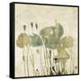 Art Floral Grunge Graphic Background-Irina QQQ-Framed Stretched Canvas