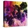 Art Floral Vintage Background with Asters-Irina QQQ-Stretched Canvas