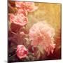 Art Floral Vintage Background with Pink Peonies-Irina QQQ-Mounted Premium Giclee Print