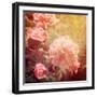 Art Floral Vintage Background with Pink Peonies-Irina QQQ-Framed Art Print