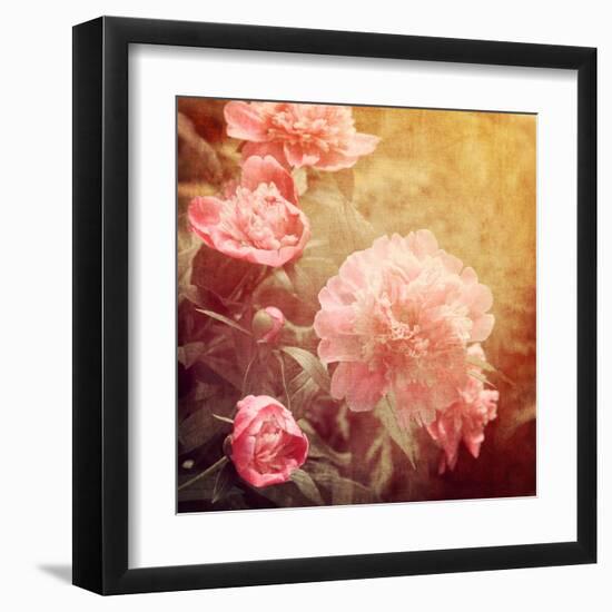 Art Floral Vintage Background with Pink Peonies-Irina QQQ-Framed Art Print