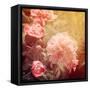 Art Floral Vintage Background with Pink Peonies-Irina QQQ-Framed Stretched Canvas