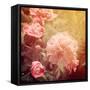 Art Floral Vintage Background with Pink Peonies-Irina QQQ-Framed Stretched Canvas