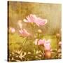 Art Floral Vintage Background with Pink Peonies-Irina QQQ-Stretched Canvas