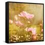 Art Floral Vintage Background with Pink Peonies-Irina QQQ-Framed Stretched Canvas