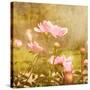 Art Floral Vintage Background with Pink Peonies-Irina QQQ-Stretched Canvas