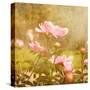 Art Floral Vintage Background with Pink Peonies-Irina QQQ-Stretched Canvas