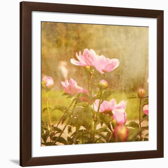 Art Floral Vintage Background with Pink Peonies-Irina QQQ-Framed Art Print