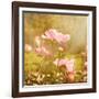 Art Floral Vintage Background with Pink Peonies-Irina QQQ-Framed Art Print