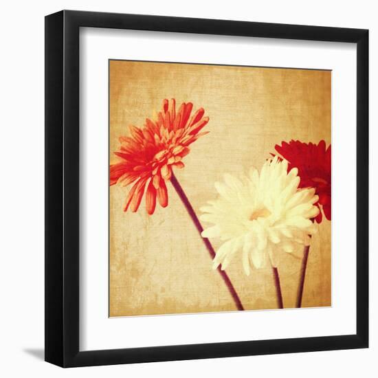 Art Floral Vintage Background with Red and White Gerbera in Sepia-Irina QQQ-Framed Art Print