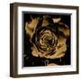 Art Floral Vintage Colorful Background-Irina QQQ-Framed Art Print