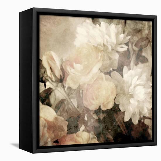 Art Floral Vintage Light Sepia Blurred Background with White Asters and Roses-Irina QQQ-Framed Stretched Canvas