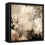 Art Floral Vintage Light Sepia Blurred Background with White Asters and Roses-Irina QQQ-Framed Stretched Canvas